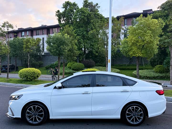 Фото 4 - Geely Binrui