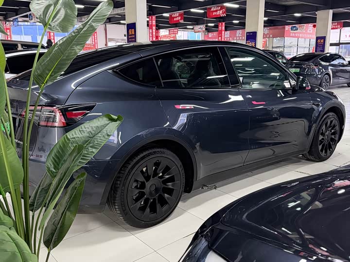 Фото 6 - Tesla Model Y