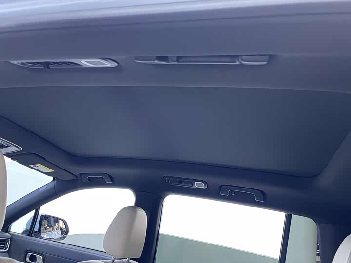 Фото 11 - LiXiang One