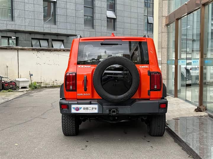 Фото 5 - Tank 300