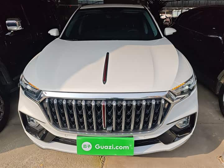 Фото 3 - Hongqi HS5