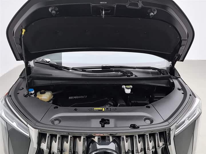 Фото 6 - GAC Trumpchi M8