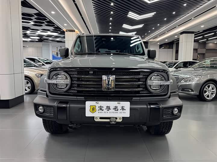 Фото 2 - Tank 300