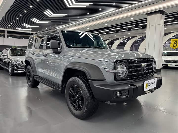 Фото 3 - Tank 300