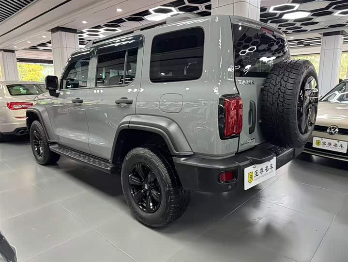 Фото 5 - Tank 300