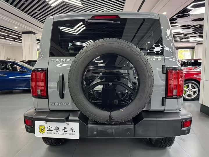 Фото 6 - Tank 300