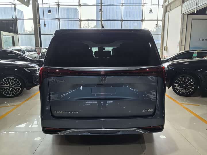 Фото 23 - Buick GL8 Century