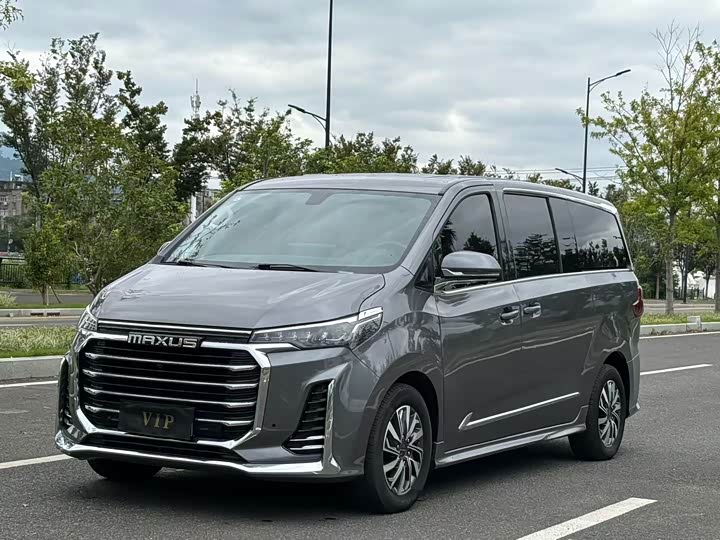 Фото 1 - Maxus G20