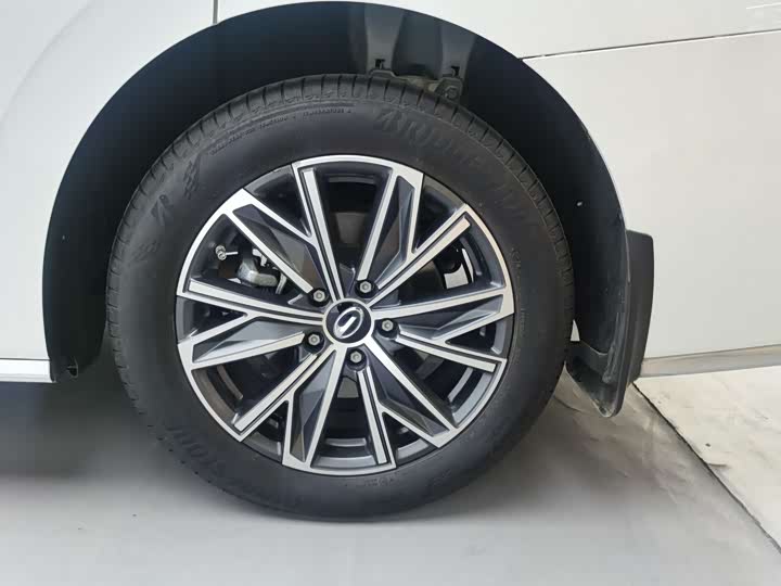 Фото 10 - GAC Trumpchi M8