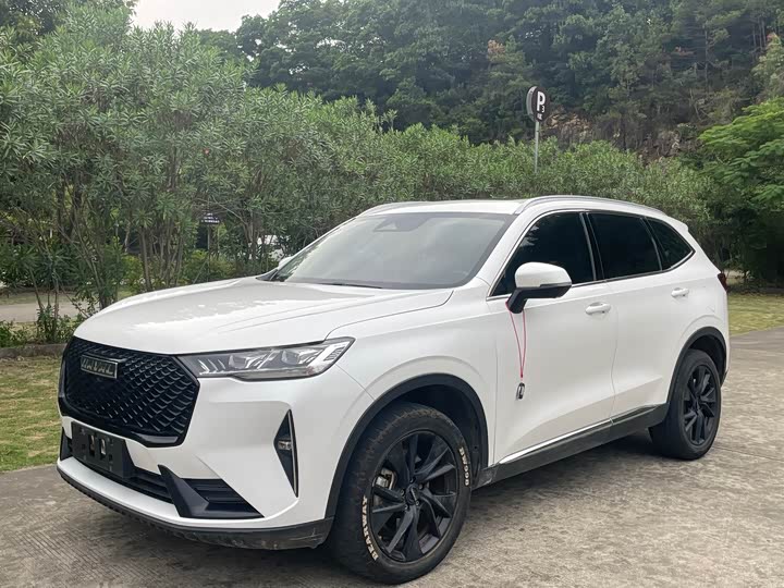 Фото 1 - Haval H6