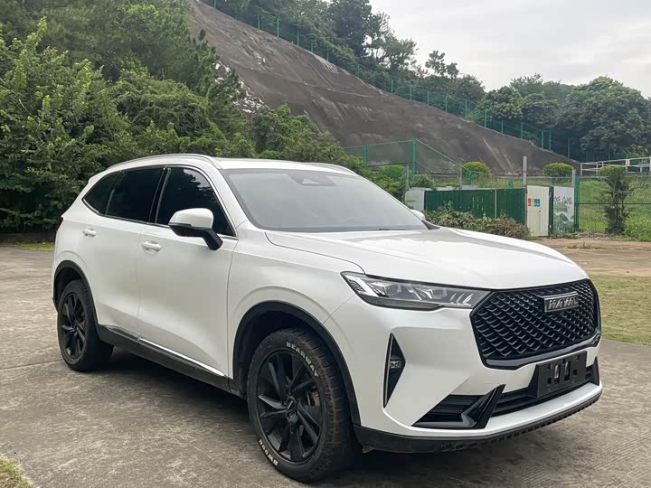 Фото 3 - Haval H6