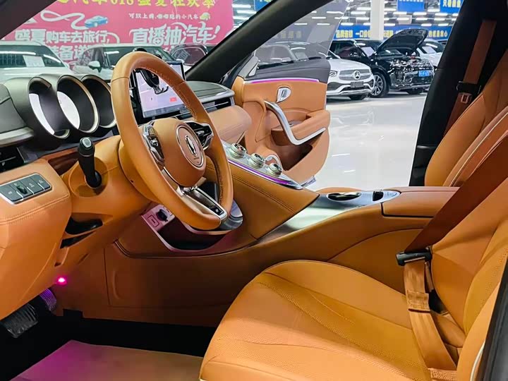 Фото 7 - Ora Lightning Cat (07)