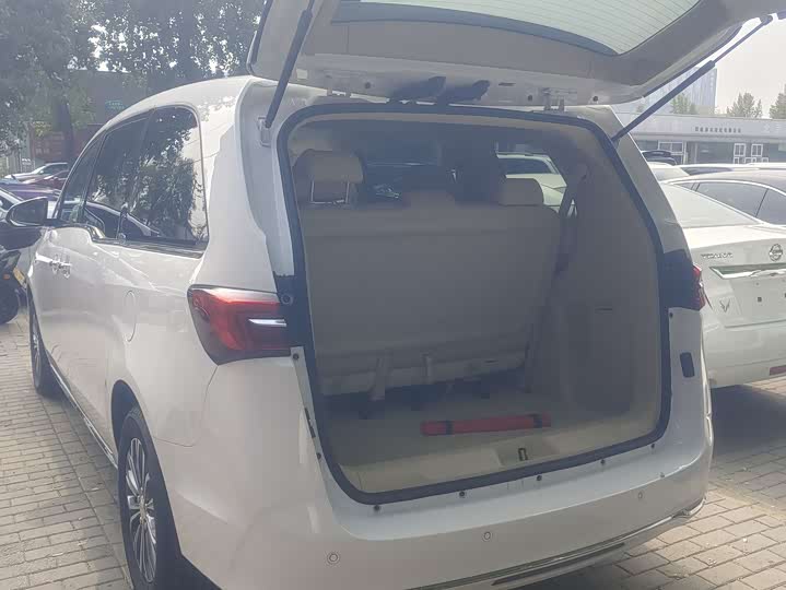 Фото 5 - Buick GL8 ES