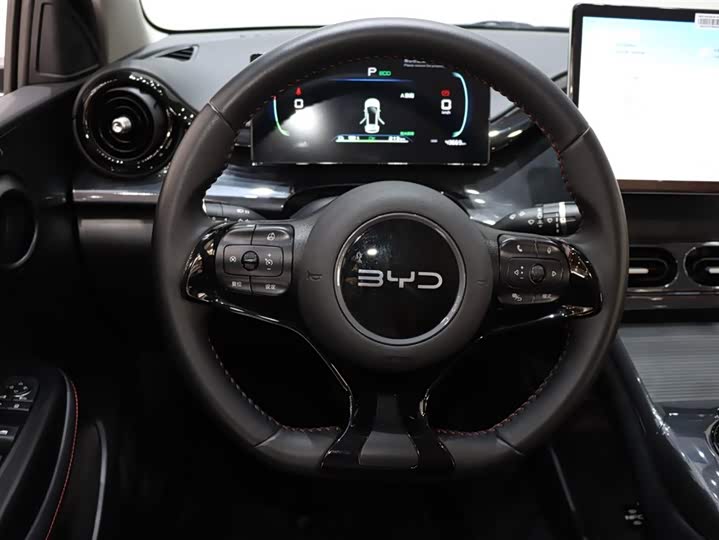 Фото 14 - BYD E2