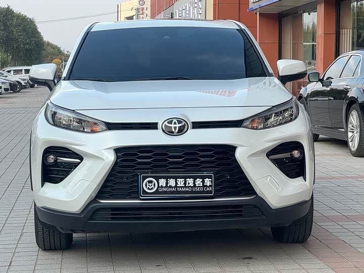 Фото 3 - Toyota Wildlander