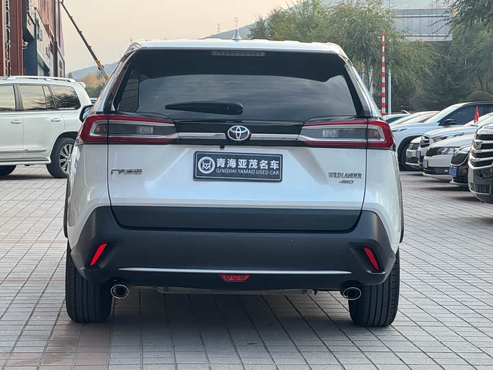 Фото 7 - Toyota Wildlander