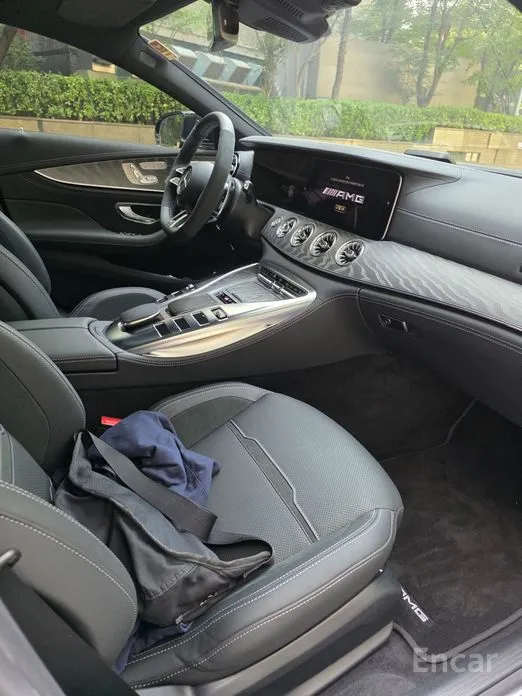 Фото 9 - Mercedes-Benz AMG GT