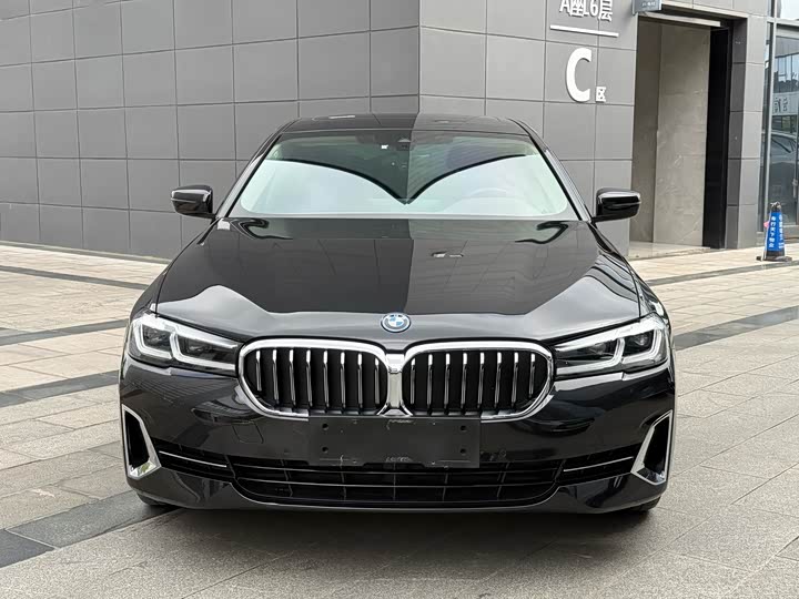 Фото 9 - BMW 5 Series Hybrid