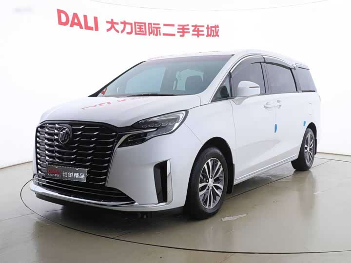 Фото 1 - Buick GL8 ES