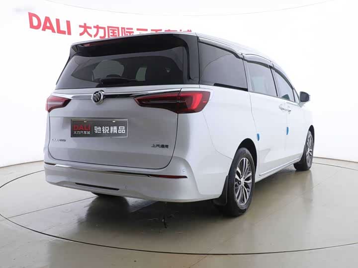 Фото 14 - Buick GL8 ES