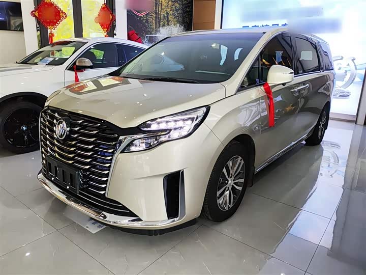 Фото 1 - Buick GL8 ES