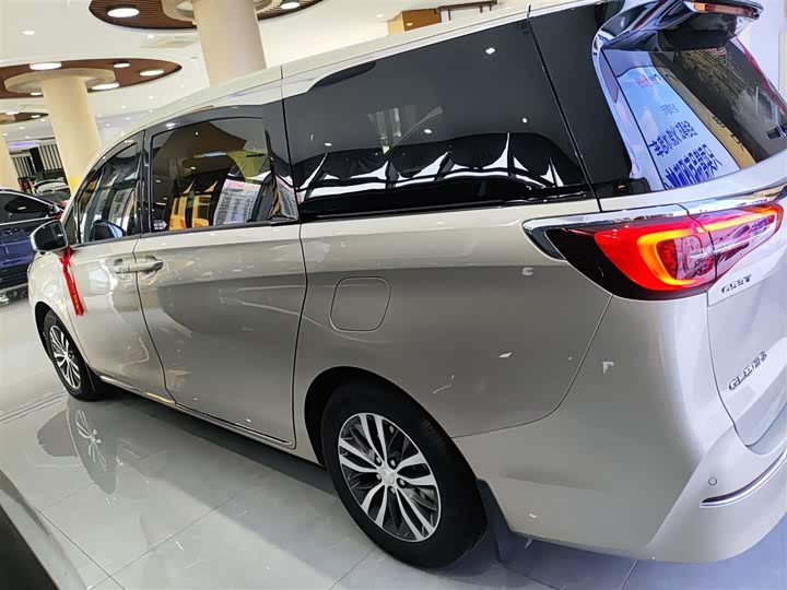 Фото 5 - Buick GL8 ES