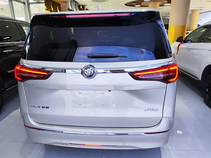 Фото 6 - Buick GL8 ES