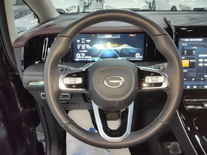 Фото 11 - GAC Trumpchi M8