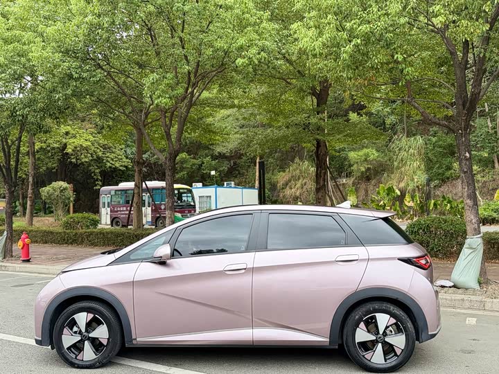 Фото 13 - BYD Dolphin