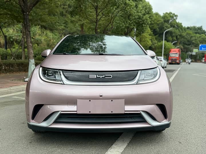 Фото 2 - BYD Dolphin