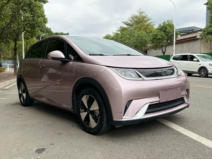 Фото 3 - BYD Dolphin