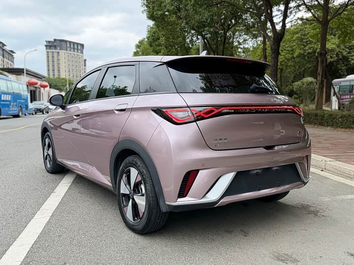 Фото 5 - BYD Dolphin