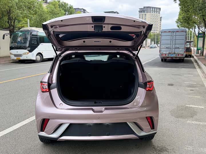 Фото 7 - BYD Dolphin