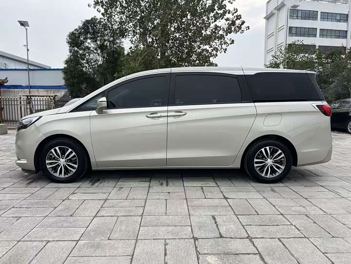 Фото 4 - Buick GL8 ES