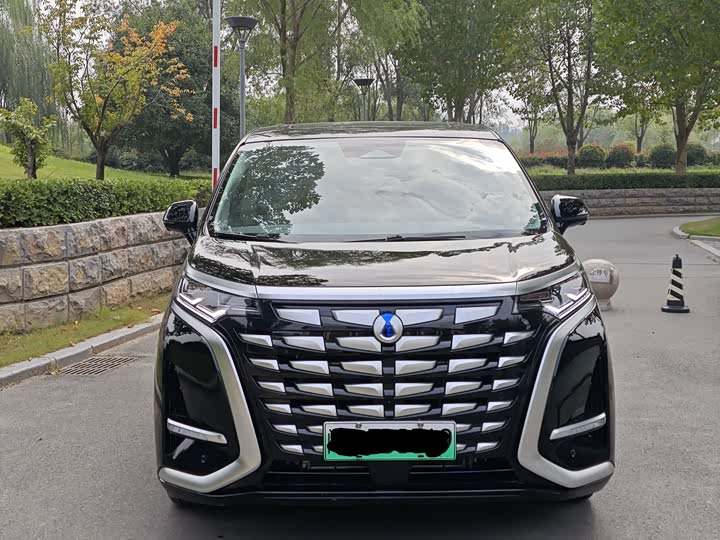 Фото 2 - Denza D9