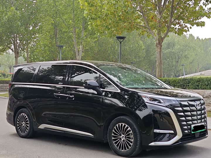 Фото 3 - Denza D9