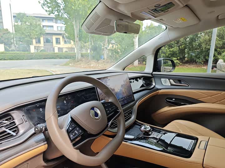 Фото 4 - Denza D9