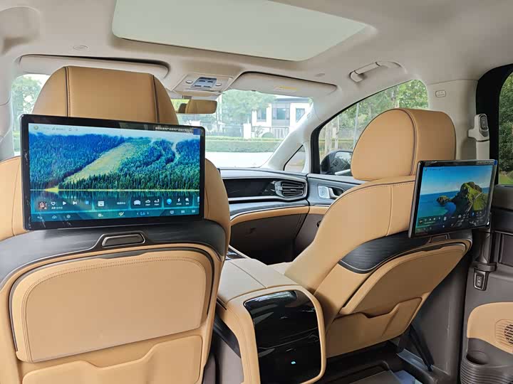 Фото 7 - Denza D9