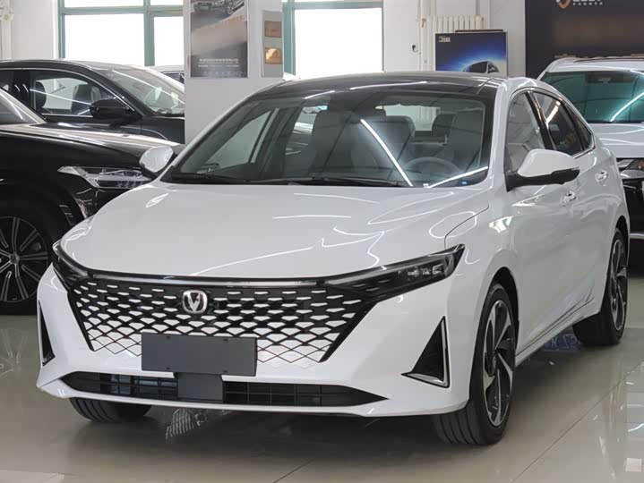 Фото 1 - Changan Raeton Plus