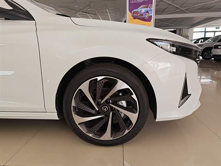 Фото 13 - Changan Raeton Plus