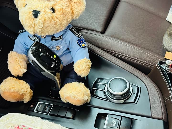 Фото 11 - BMW X1