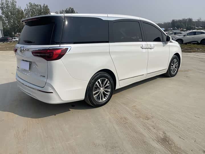 Фото 9 - Buick GL8 ES