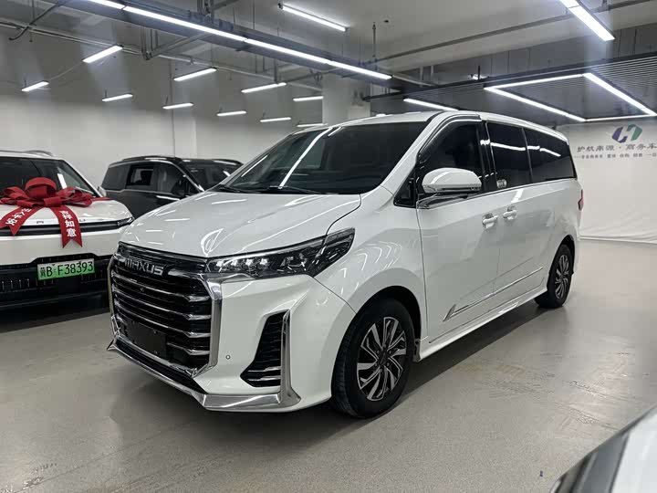 Фото 1 - Maxus G20