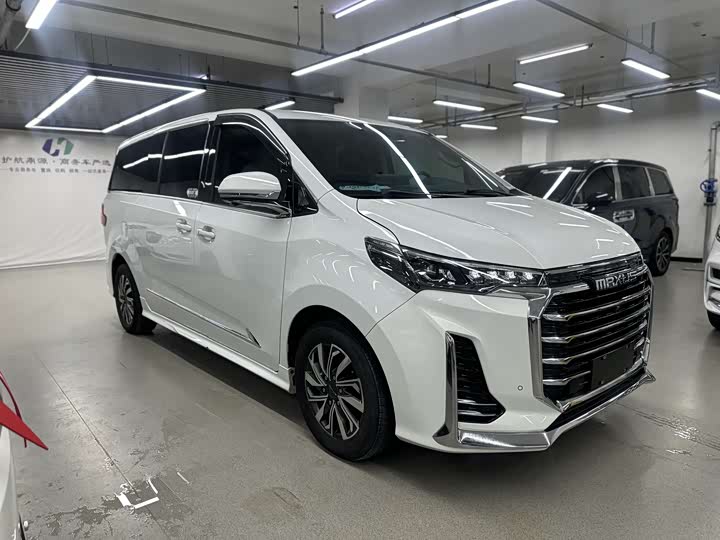 Фото 3 - Maxus G20