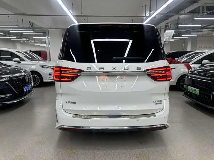 Фото 5 - Maxus G20