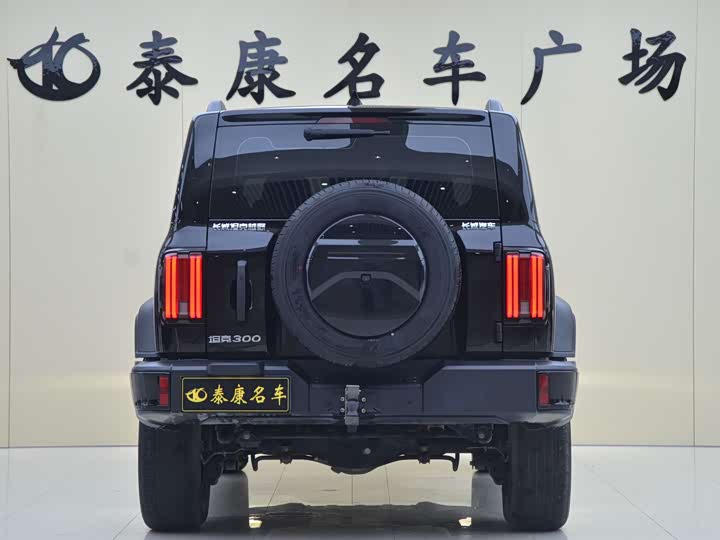 Фото 3 - Tank 300