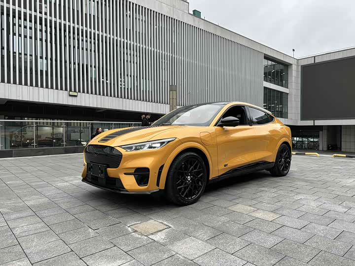 Фото 1 - Ford Mustang Mach-E