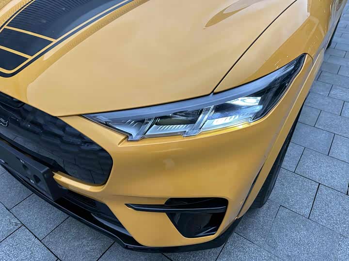 Фото 13 - Ford Mustang Mach-E