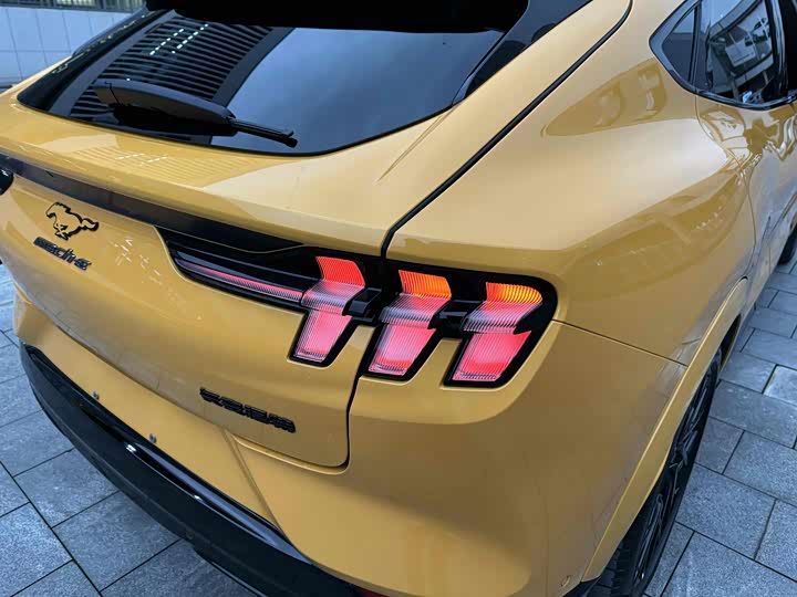 Фото 15 - Ford Mustang Mach-E