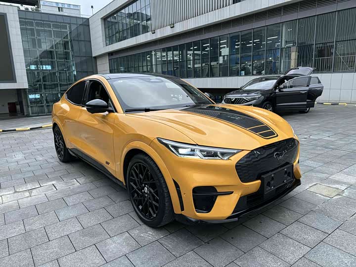 Фото 2 - Ford Mustang Mach-E